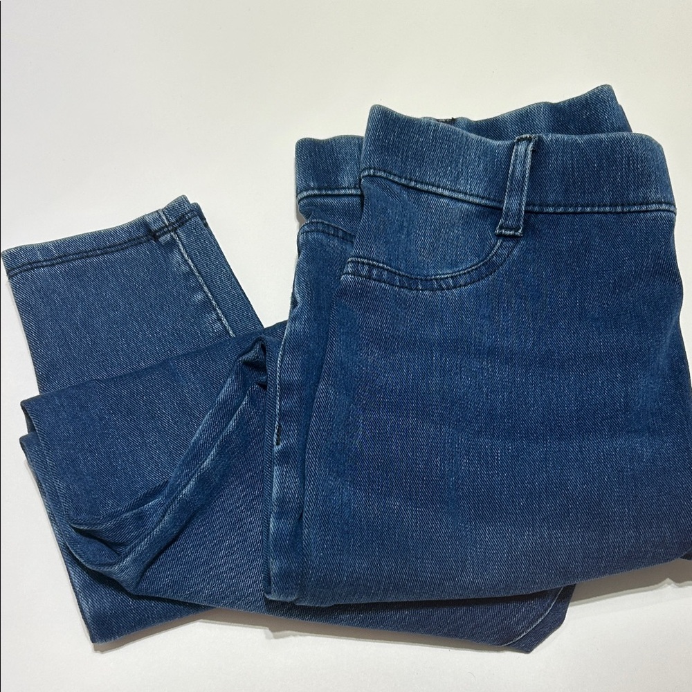 Time and Tru Women's Blue Jeans Jeggings